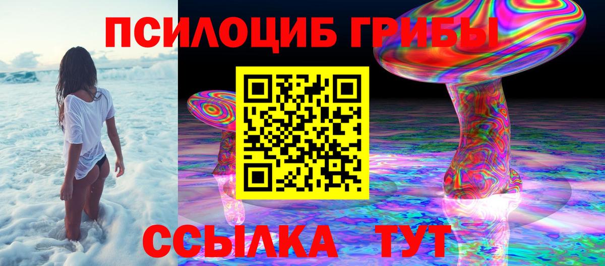 Псилоцибиновые грибы Psilocybine cubensis  Вход с VPN  Сорочинск  Псилоцибиновые грибы Psilocybine cubensis 